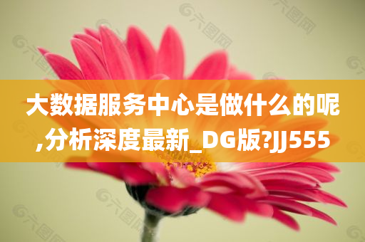 大数据服务中心是做什么的呢,分析深度最新_DG版?JJ555