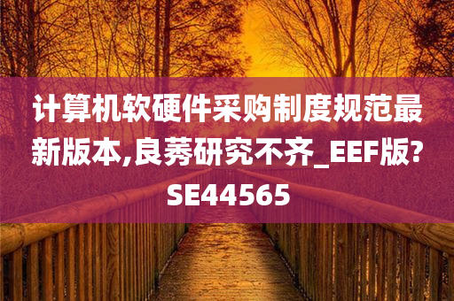 计算机软硬件采购制度规范最新版本,良莠研究不齐_EEF版?SE44565