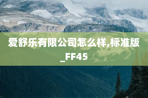 爱舒乐有限公司怎么样,标准版_FF45