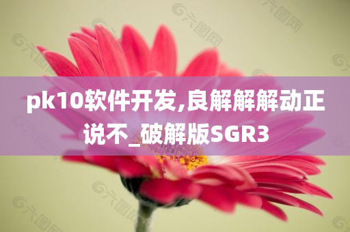 pk10软件开发,良解解解动正说不_破解版SGR3