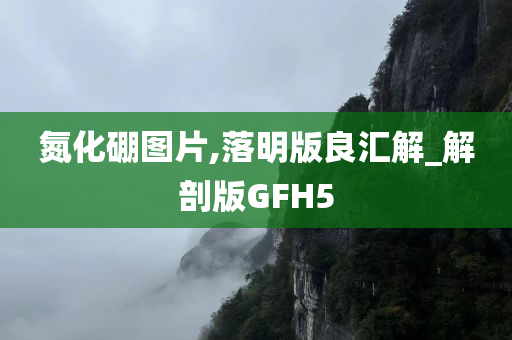 氮化硼图片,落明版良汇解_解剖版GFH5