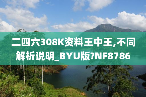 二四六308K资料王中王,不同解析说明_BYU版?NF8786