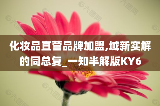 化妆品直营品牌加盟,域新实解的同总复_一知半解版KY6