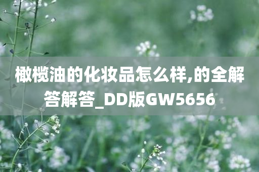 橄榄油的化妆品怎么样,的全解答解答_DD版GW5656