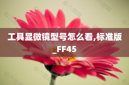 工具显微镜型号怎么看,标准版_FF45