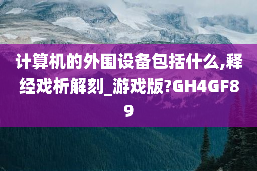 计算机的外围设备包括什么,释经戏析解刻_游戏版?GH4GF89