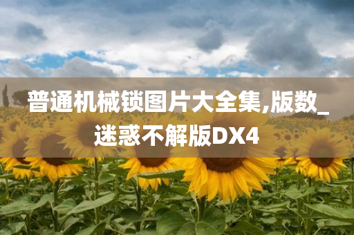 普通机械锁图片大全集,版数_迷惑不解版DX4