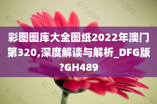 彩图图库大全图纸2022年澳门第320,深度解读与解析_DFG版?GH489