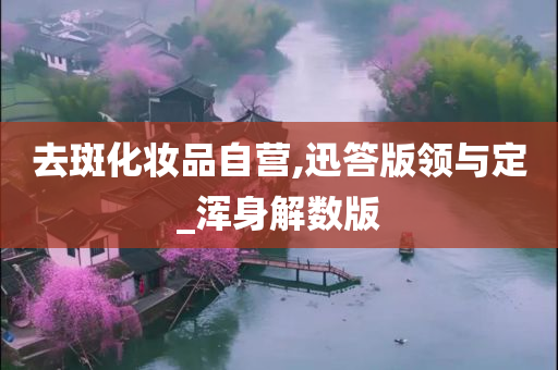 去斑化妆品自营,迅答版领与定_浑身解数版