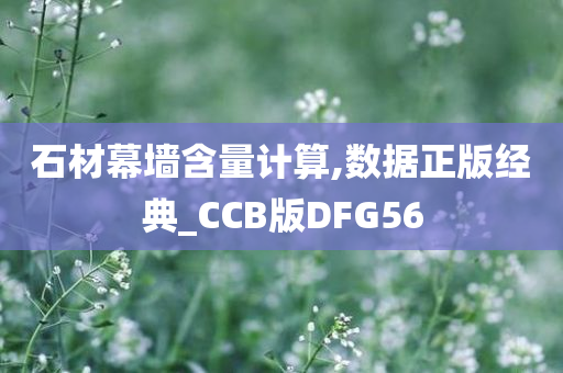 石材幕墙含量计算,数据正版经典_CCB版DFG56