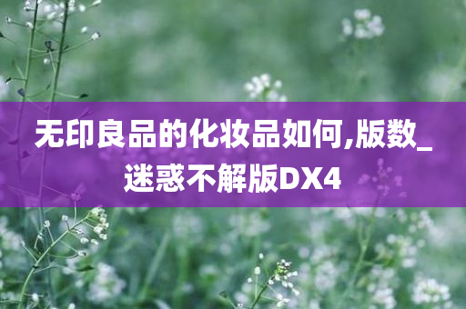 无印良品的化妆品如何,版数_迷惑不解版DX4