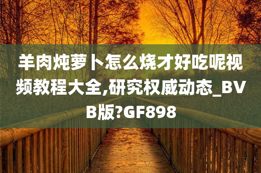 羊肉炖萝卜怎么烧才好吃呢视频教程大全,研究权威动态_BVB版?GF898