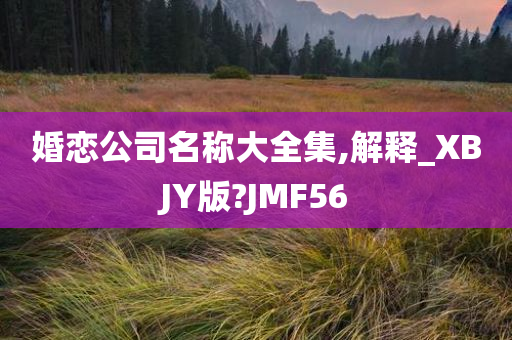 婚恋公司名称大全集,解释_XBJY版?JMF56