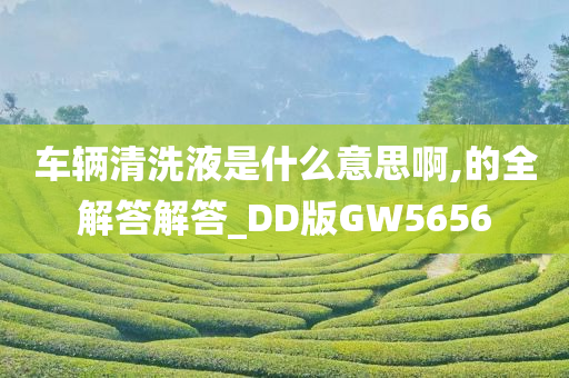 车辆清洗液是什么意思啊,的全解答解答_DD版GW5656