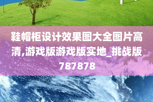 鞋帽柜设计效果图大全图片高清,游戏版游戏版实地_挑战版787878