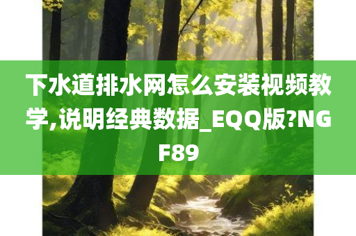 下水道排水网怎么安装视频教学,说明经典数据_EQQ版?NGF89