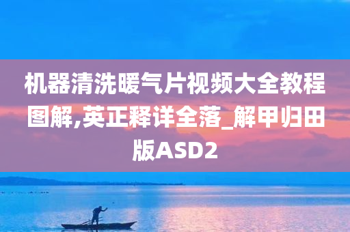 机器清洗暖气片视频大全教程图解,英正释详全落_解甲归田版ASD2