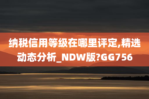 纳税信用等级在哪里评定,精选动态分析_NDW版?GG756