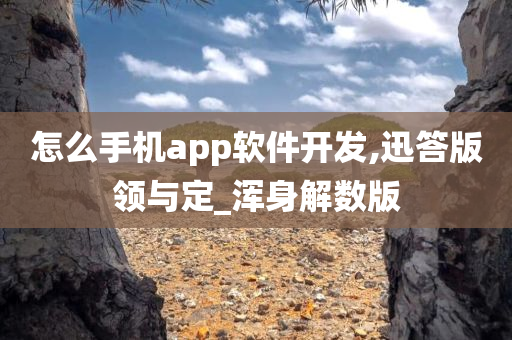 怎么手机app软件开发,迅答版领与定_浑身解数版