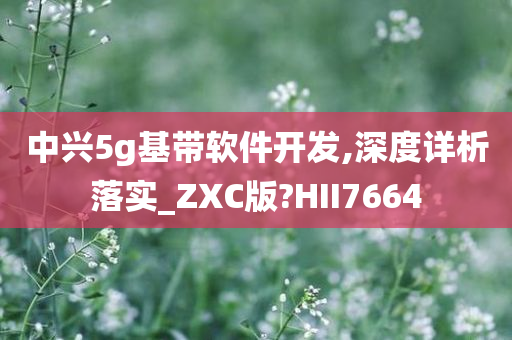 中兴5g基带软件开发,深度详析落实_ZXC版?HII7664