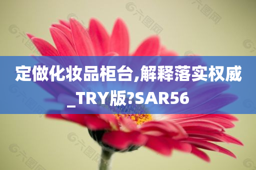 定做化妆品柜台,解释落实权威_TRY版?SAR56