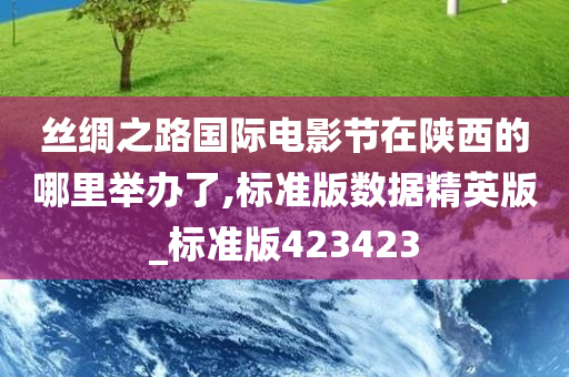 丝绸之路国际电影节在陕西的哪里举办了,标准版数据精英版_标准版423423