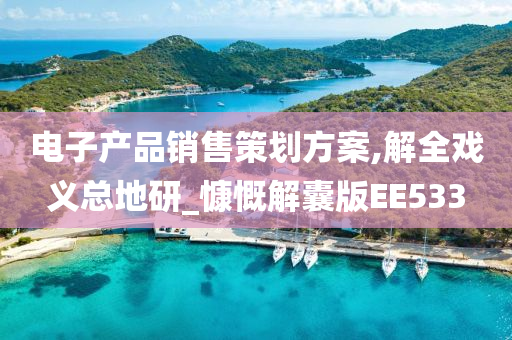 电子产品销售策划方案,解全戏义总地研_慷慨解囊版EE533