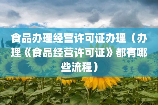 食品办理经营许可证办理（办理《食品经营许可证》都有哪些流程）