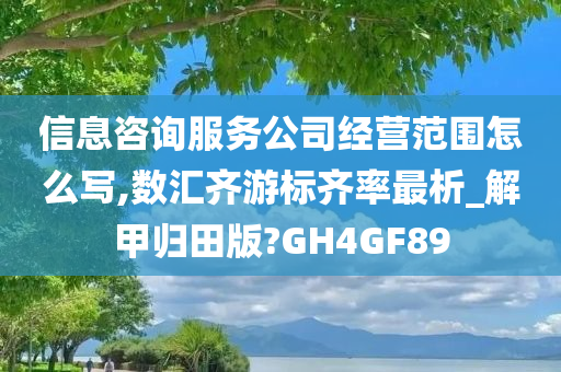 信息咨询服务公司经营范围怎么写,数汇齐游标齐率最析_解甲归田版?GH4GF89