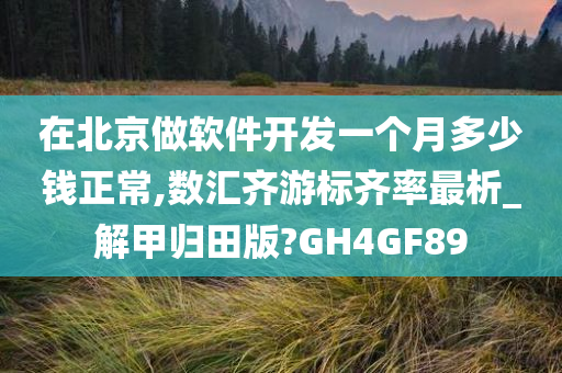 在北京做软件开发一个月多少钱正常,数汇齐游标齐率最析_解甲归田版?GH4GF89