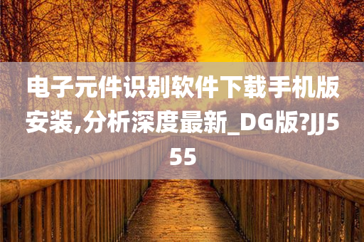 电子元件识别软件下载手机版安装,分析深度最新_DG版?JJ555