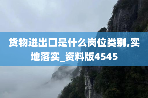 货物进出口是什么岗位类别,实地落实_资料版4545