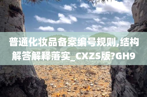 普通化妆品备案编号规则,结构解答解释落实_CXZS版?GH9