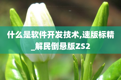 什么是软件开发技术,速版标精_解民倒悬版ZS2