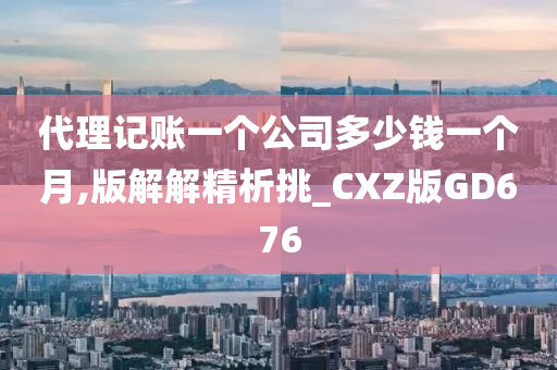 代理记账一个公司多少钱一个月,版解解精析挑_CXZ版GD676