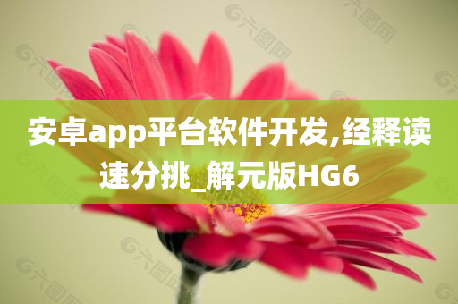 安卓app平台软件开发,经释读速分挑_解元版HG6