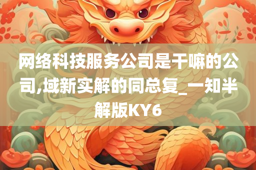 网络科技服务公司是干嘛的公司,域新实解的同总复_一知半解版KY6