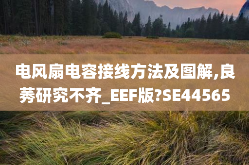 电风扇电容接线方法及图解,良莠研究不齐_EEF版?SE44565