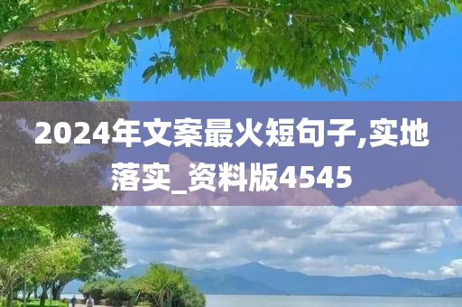 2024年文案最火短句子,实地落实_资料版4545