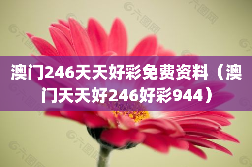 澳门246天天好彩免费资料（澳门天天好246好彩944）