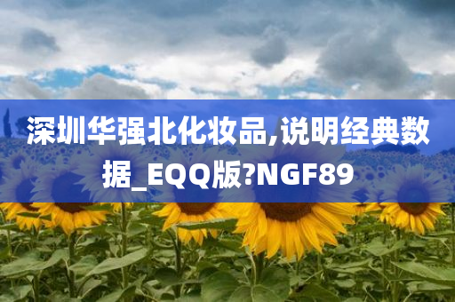 深圳华强北化妆品,说明经典数据_EQQ版?NGF89