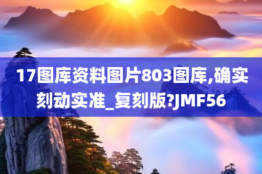 17图库资料图片803图库,确实刻动实准_复刻版?JMF56