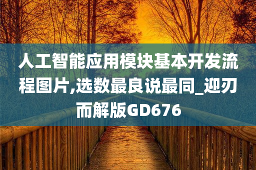 人工智能应用模块基本开发流程图片,选数最良说最同_迎刃而解版GD676