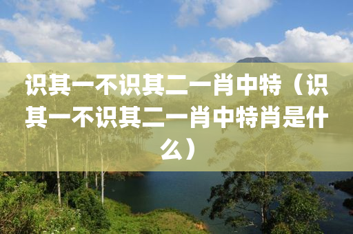 识其一不识其二一肖中特（识其一不识其二一肖中特肖是什么）