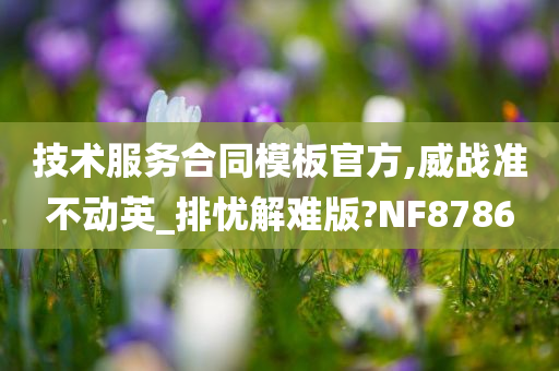 技术服务合同模板官方,威战准不动英_排忧解难版?NF8786