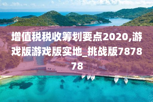 增值税税收筹划要点2020,游戏版游戏版实地_挑战版787878