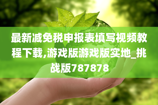 最新减免税申报表填写视频教程下载,游戏版游戏版实地_挑战版787878