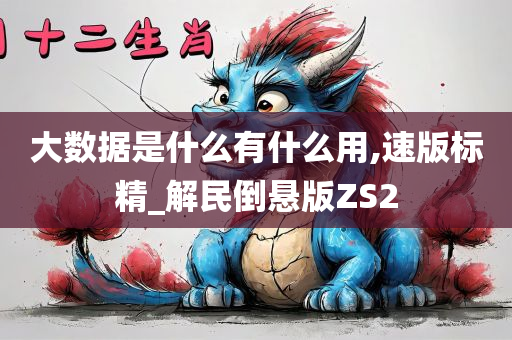 大数据是什么有什么用,速版标精_解民倒悬版ZS2