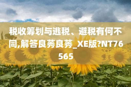 税收筹划与逃税、避税有何不同,解答良莠良莠_XE版?NT76565