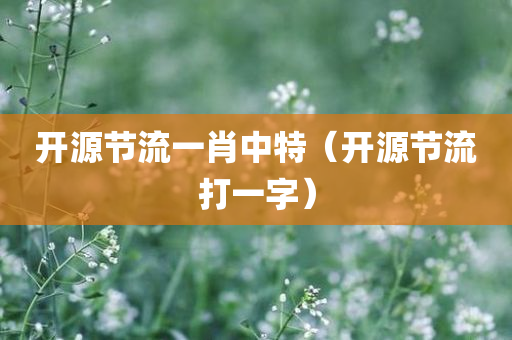 开源节流一肖中特（开源节流打一字）